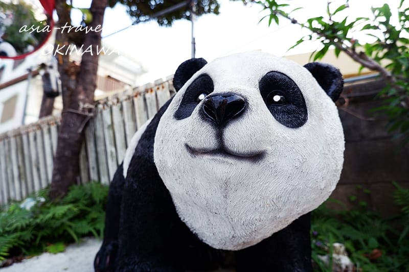 沖縄 ぱんだまんま