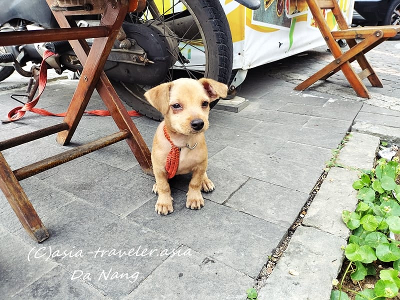 ダナン Chu Restaurant & Bar