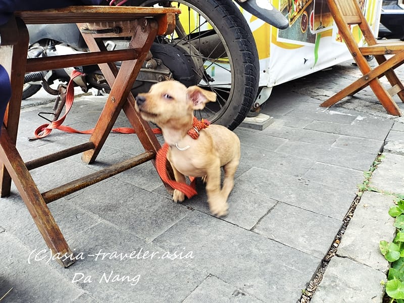 ダナン Chu Restaurant & Bar