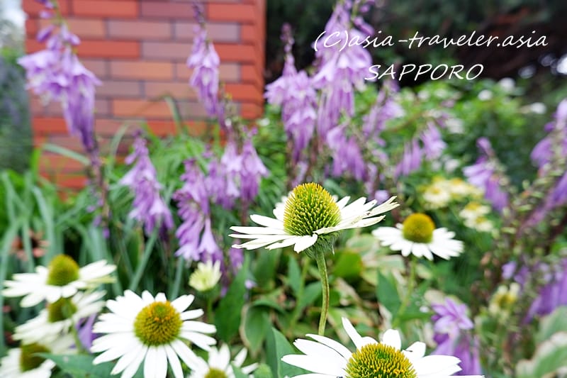 札幌 百合が原公園