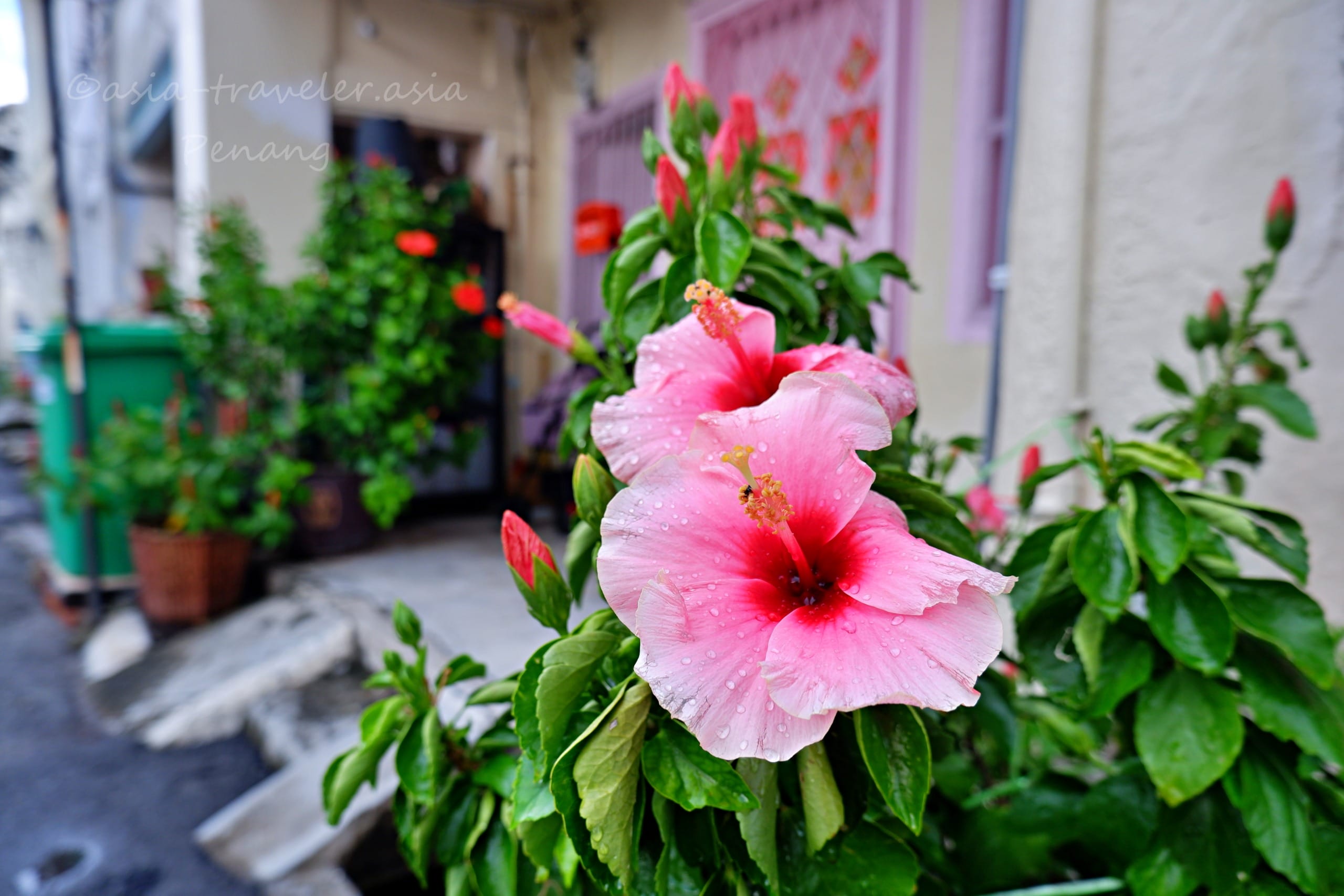ペナン島　ジョージタウン