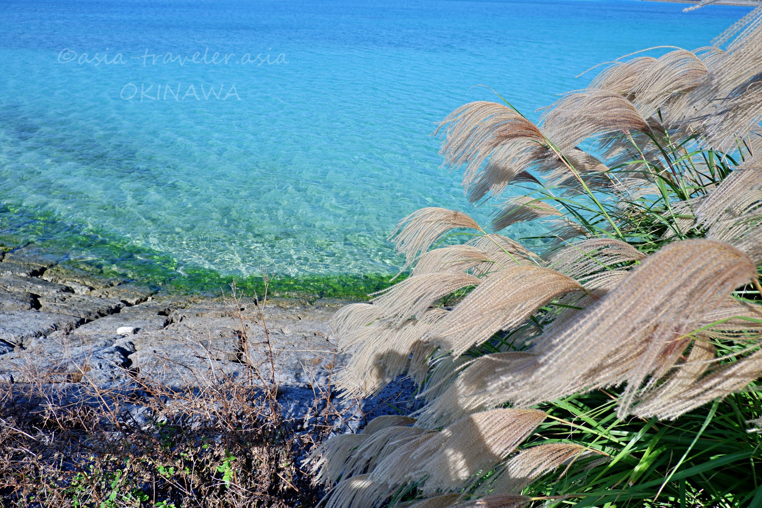 沖縄 豊崎海浜公園