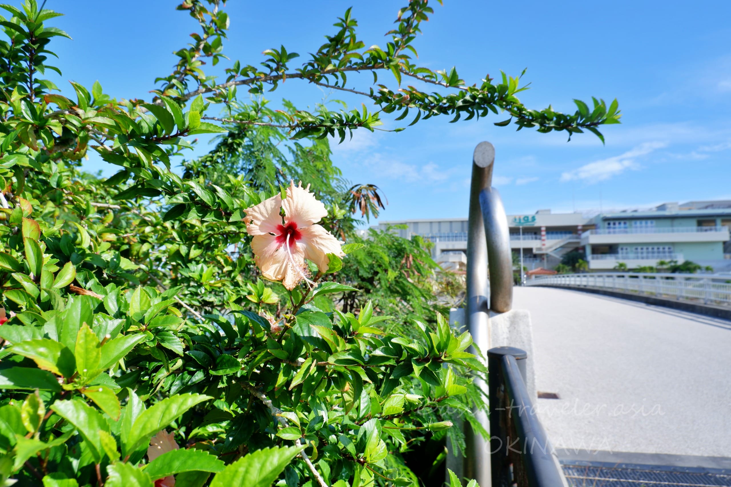 沖縄 イーアス豊崎