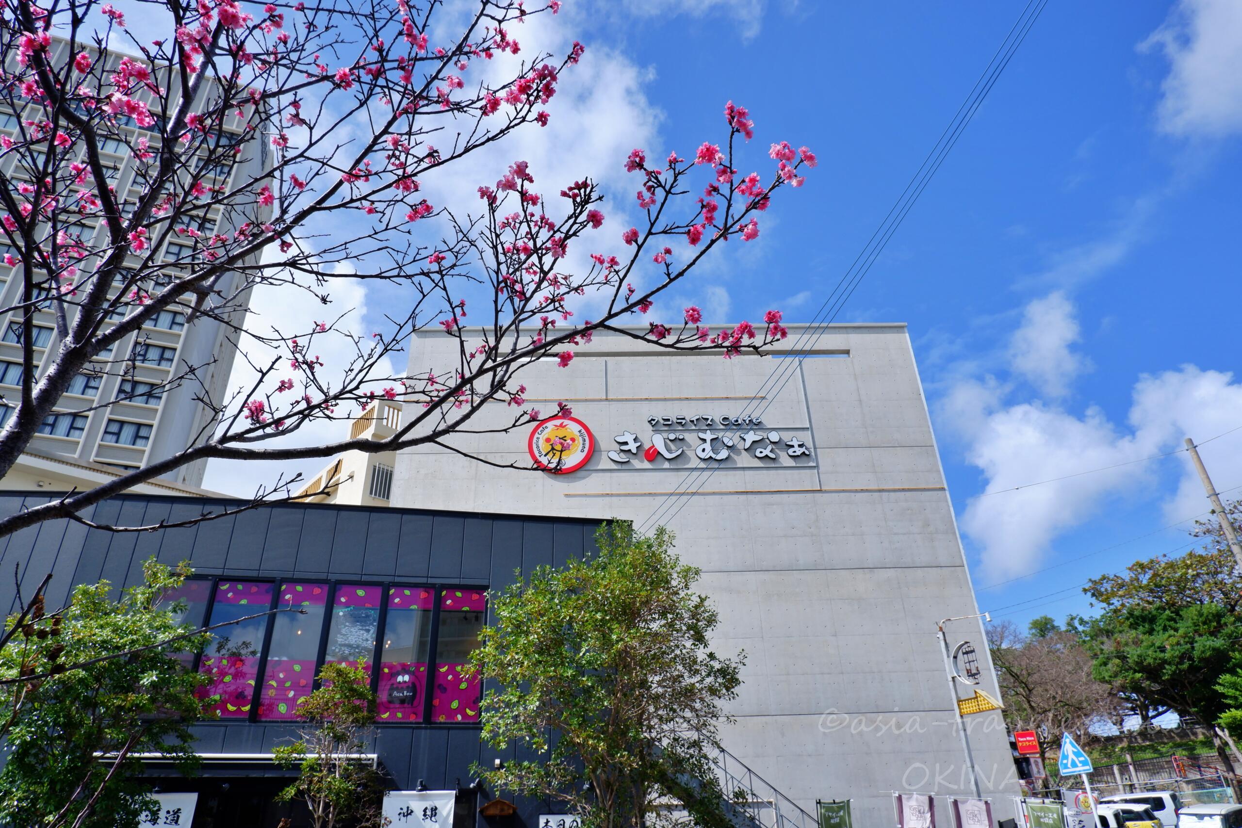 那覇　きじむなぁ　牧志店